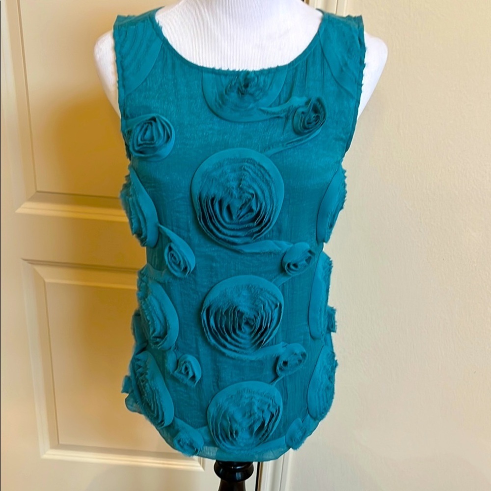 Baraschi teal tank
